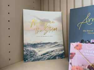 Mercy in the storm dg